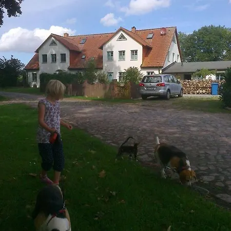 Kleine-schwalbe